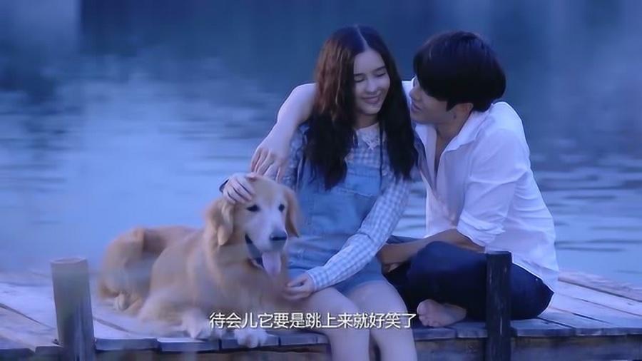 你觉得娱乐圈有哪些明星是绝对不可能“塌房”的？从哪方面能看出来？游戏画面